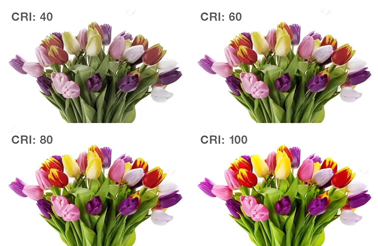 Chỉ số hoàn màu CRI – thông số kỹ thuật của đèn LED thể hiện độ trung thực màu sắc.