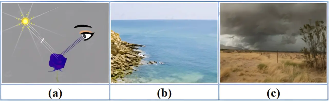 h6-quan-sang-vat-the-duoi-anh-sang-ban-ngay